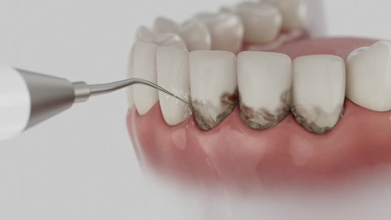 Reliable Dental contractor in Wexford County County, MI by Dentist Open Now
